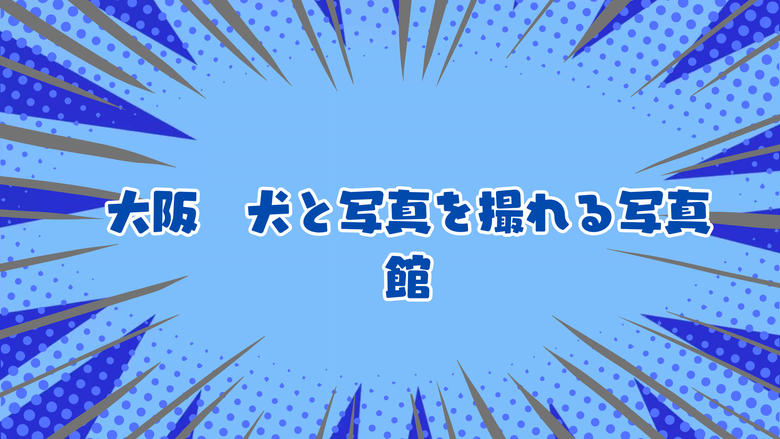 大阪　犬と写真を撮れる写真館・スタジオ