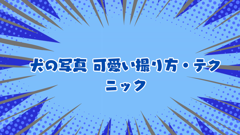 犬の写真 可愛い撮り方・テクニック